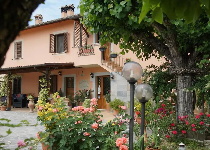 L'Ulivo In FioreAgriturismo